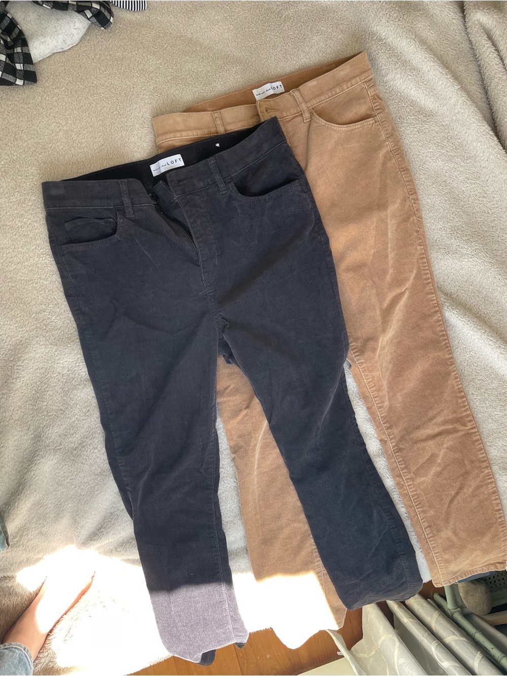 LOFT Skinny Corduroy Pants in Black and Tan